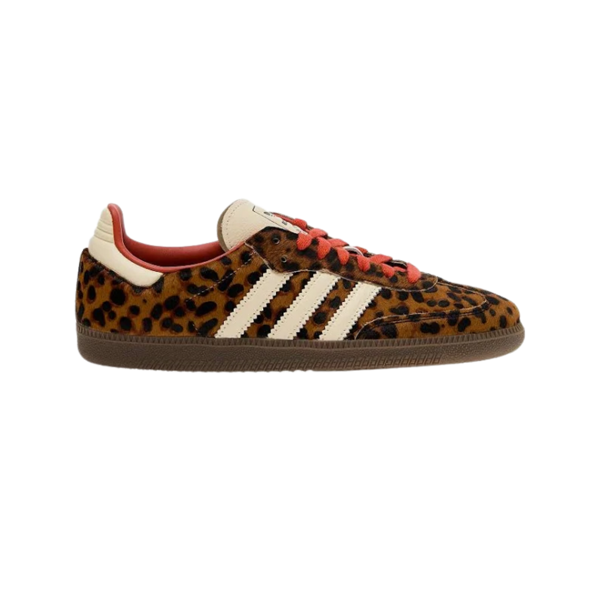 Samba leopard