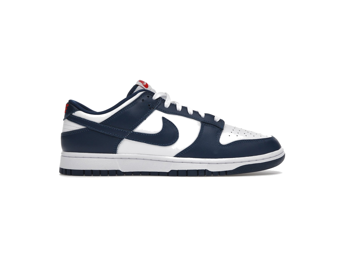 Nike Dunk Low Valerian Blue