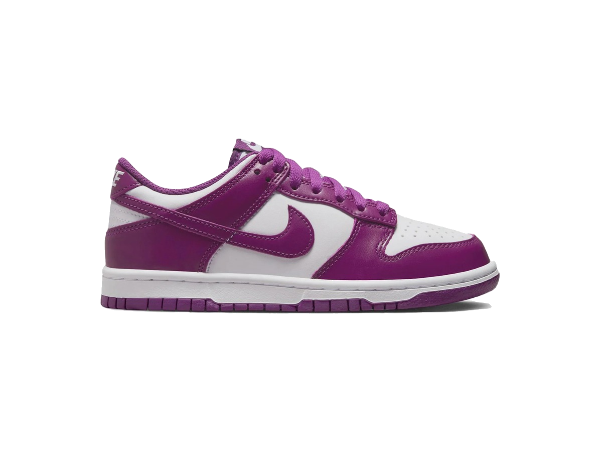 Nike Dunk Low Viotech (GS)