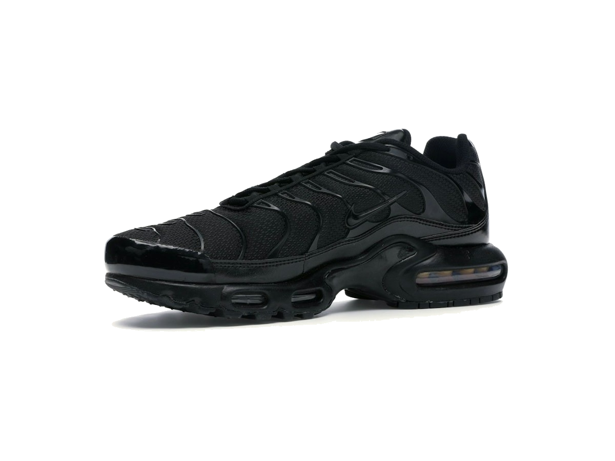 Nike Air Max Plus Triple Black